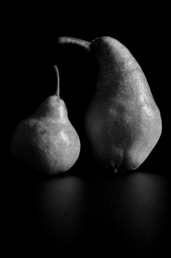 Teknős Miklós fotója