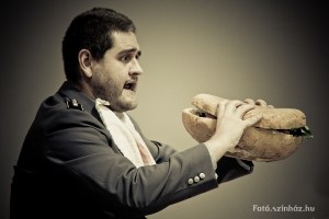 Vajda Milán - Fotó: foto.szinhaz.hu