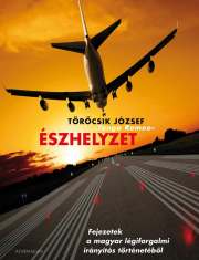 Törőcsik József: Észhelyzet