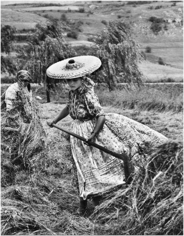 Korniss Péter: Szénaforgató (1973)