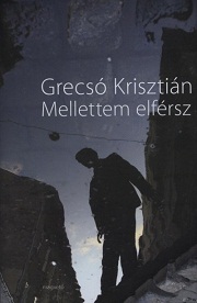 Mellettem elférsz - borító