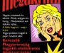 Megakrimi pályázat