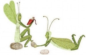 Berg_Lenge-illu02-FÁTYOLKÁK