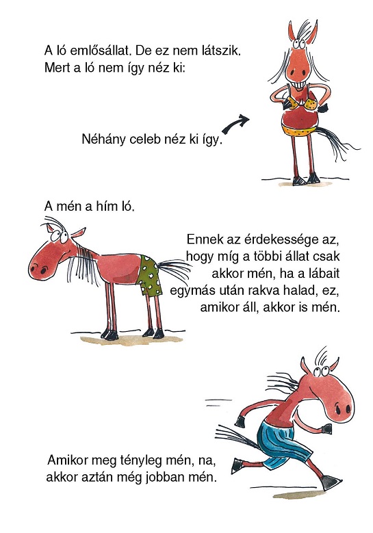 Amit a lovakról 4