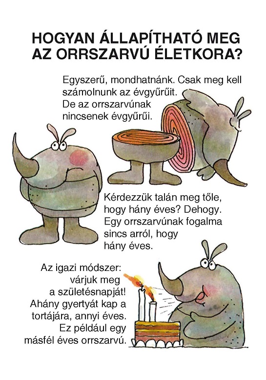 Amit az orrszarvúkról 26