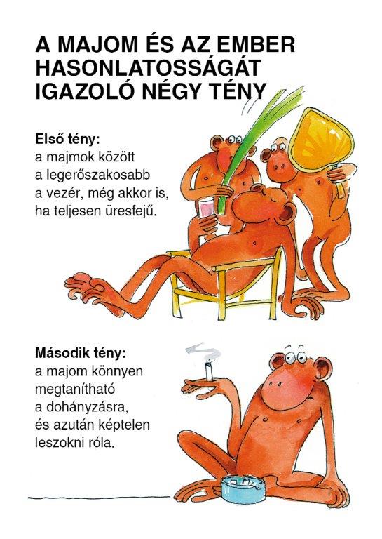 Amit a majomról...