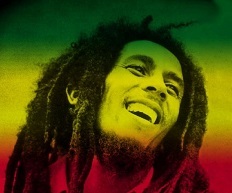 Marley-IND01-230