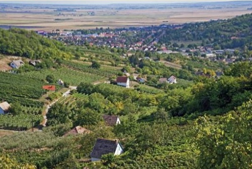 Erdélyi_Fakanállal-illu01