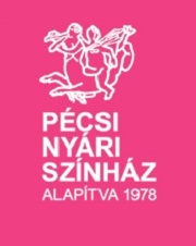 pnysz-logo-álló