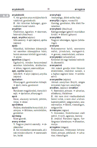dorman-kiss-tul.szotar06