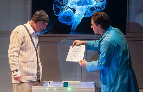 Labirintusverseny készül Algernonnal 