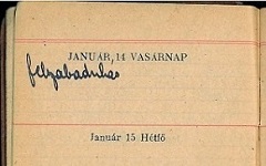 Holokauszt és a család-portré helyett